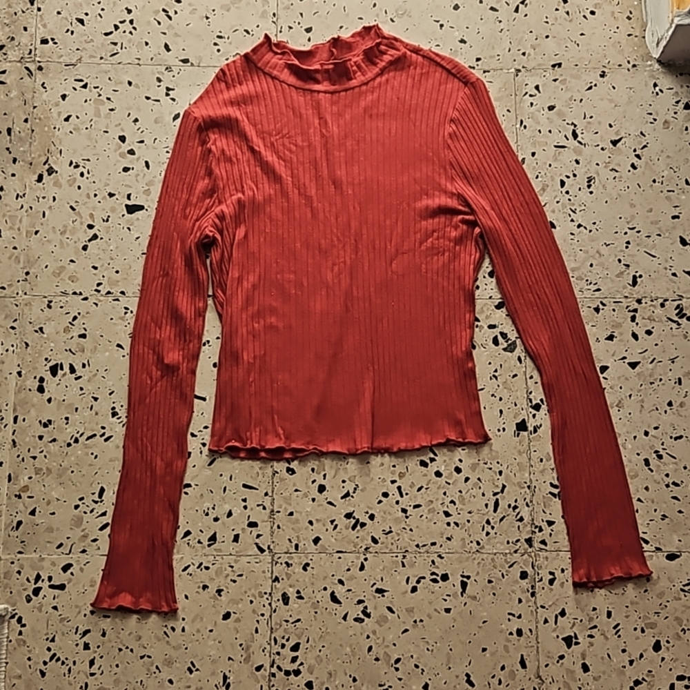 A red-brown turtle neck long sleeve top